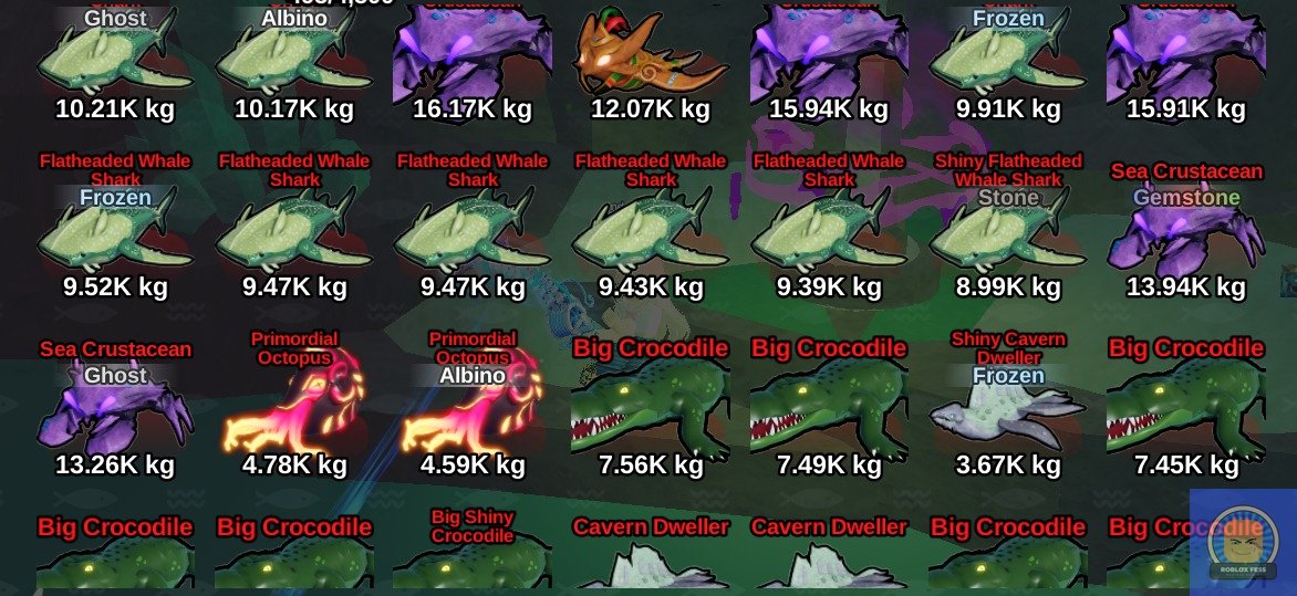 Roblox Fess tweet media