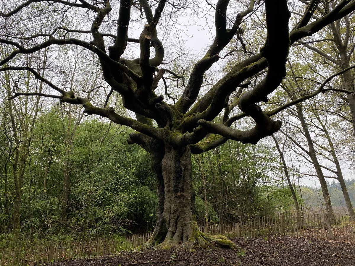 Cipher_369 tweet media