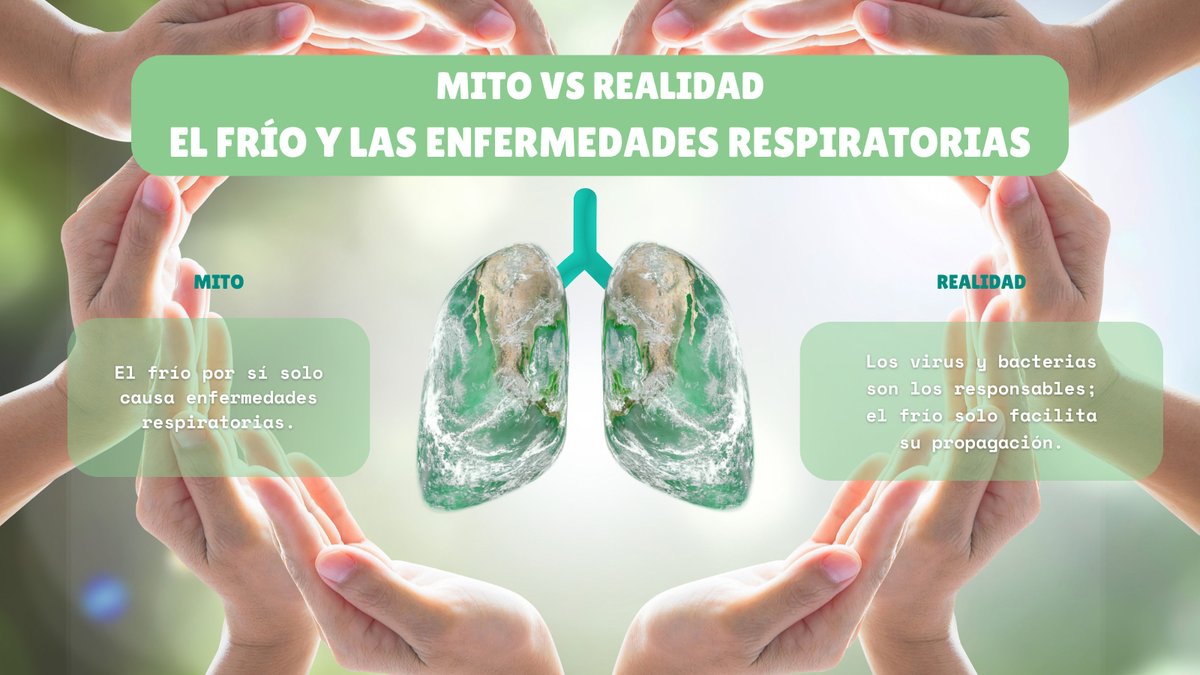 SLRuz's tweet image. 🚫 Mito: el frío por sí solo causa enfermedades respiratorias.
✅ Realidad: los virus y bacterias son los responsables; el frío solo facilita su propagación.
Abrigarse y prevenir sigue siendo clave.
 #MitoVsRealidad #SaludRespiratoria #DrSergioLopezRuz