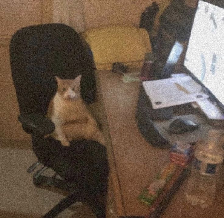 futdelegadinha's tweet image. Sim gente, estou aqui 3:59 da manhã estudando, vamos ver se é esse coca cola toda mesmo