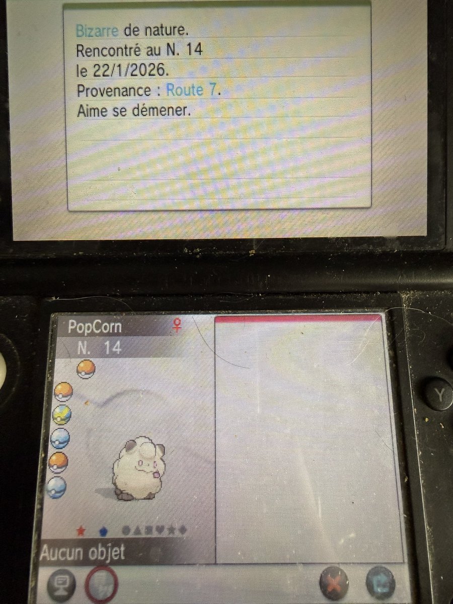 EffysAegis tweet media