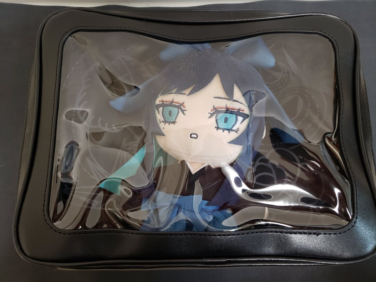 Adoよだか通販の 「外に出なさい。いっしょにおでかけバッグ」 が届い