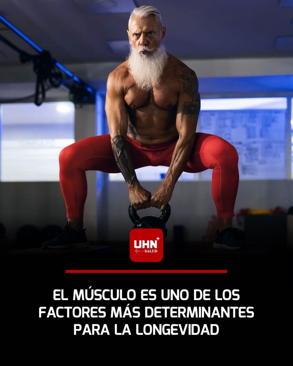 💪‼️ | El músculo es uno de los factores más determinantes para la longevidad, incluso más que la pérdida de grasa, según especialistas que advierten que conservar masa muscular protege contra caídas, fragilidad, resistencia a la insulina y deterioro metabólico con la edad.