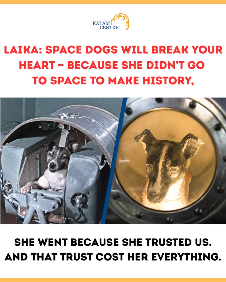 It has been 67 years since she left Earth…
yet her story still weighs on the human conscience like an unanswered prayer.

Laika was not just a dog sent into space.
She was trust wrapped in fur.
A quiet heartbeat that believed humans would keep her safe—
because that is what dogs