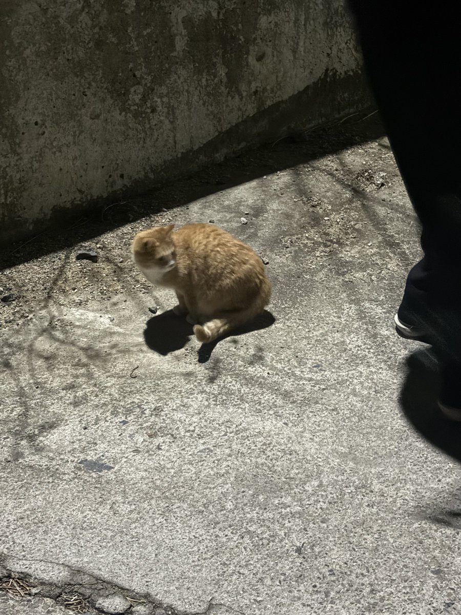 그냥 찍은 사진들.?⁉️

#EPEX #이펙스 #JEFF #제프 #젶프프