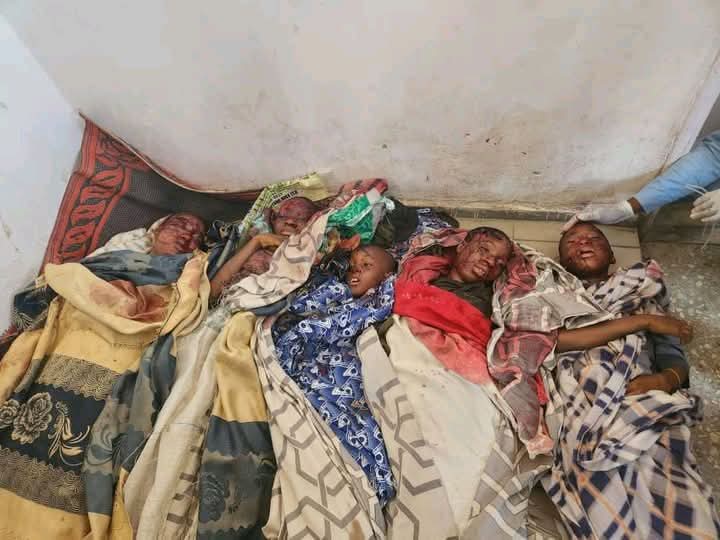 sarkin yakin arewa tweet media