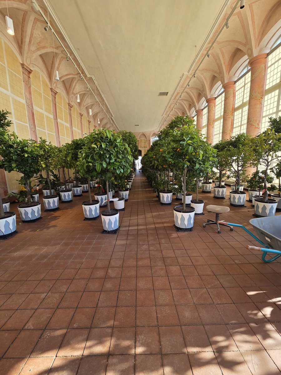Orangerie Schloss Seehof. Die Vorlage für Burg Theisenort.