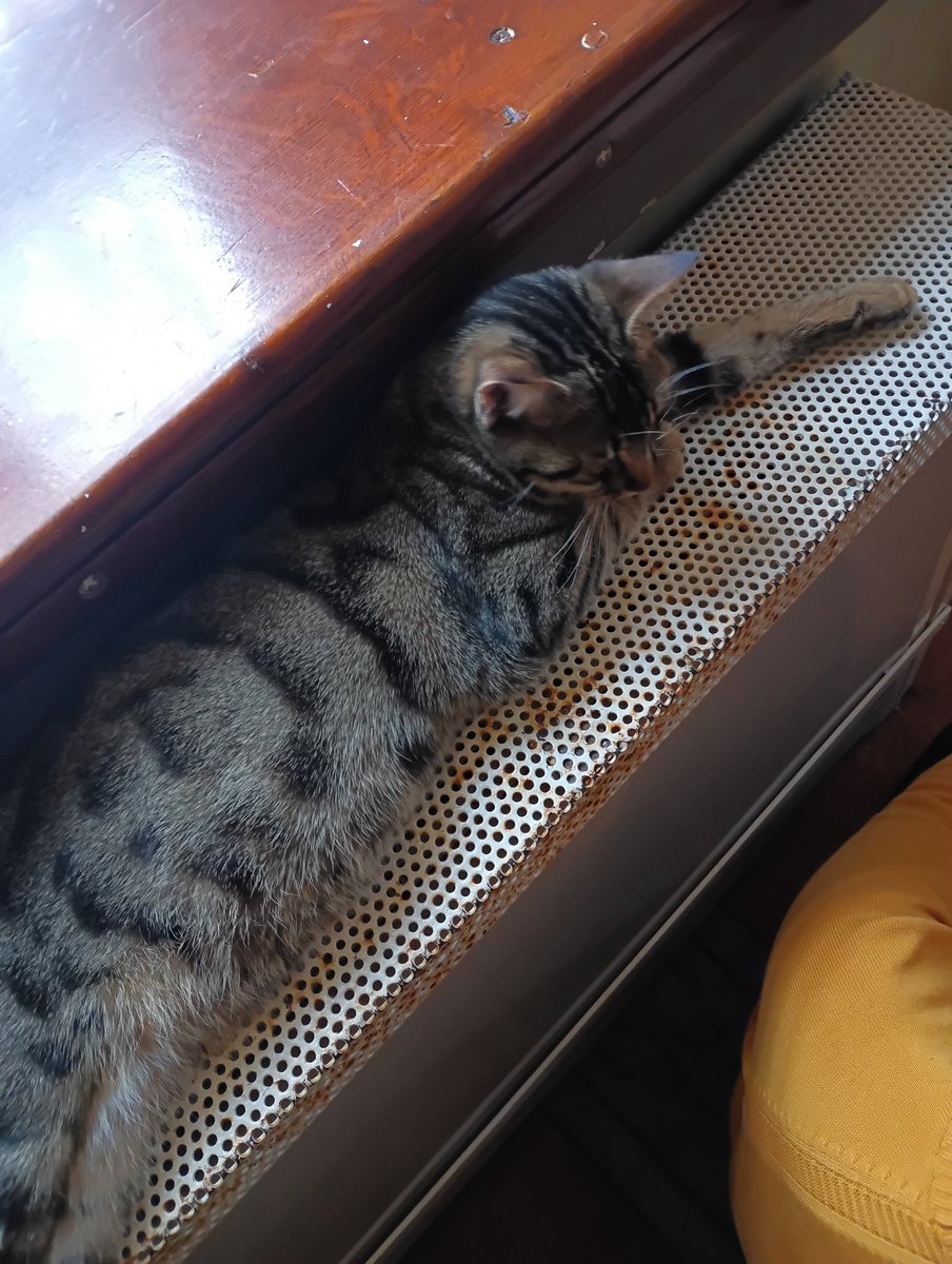 Elhamdülillah bugün nasipliymişiz, huzuruna kabul gördük.. 🤲🏻