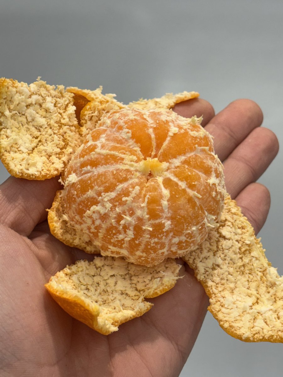 TIOT_NOW's tweet photo. [#건희]
추울 때는 귤 먹기…🍊😋

#홍건희 #HONGKEONHEE
#TIOT #티아이오티 https://t.co/PzHajGHqZ2