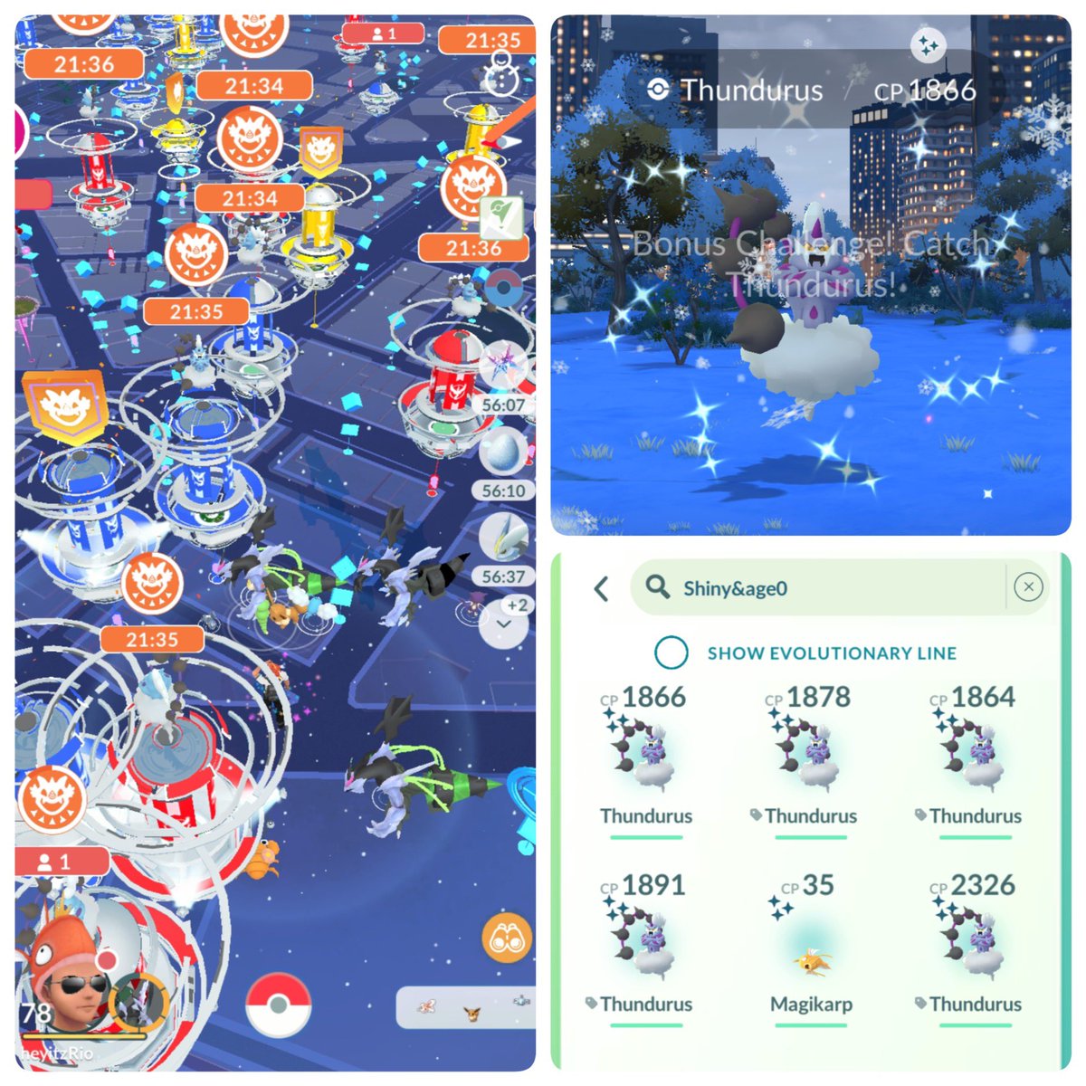 Thundurus Raid Day 🌩️

🏆 33 Raids 
💯 0 Shundo
✨ 5 Shiny 
#PokemonGO #ポケモンGO