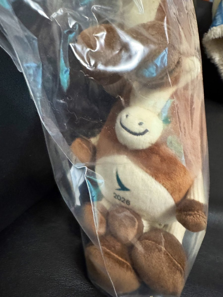 キャセイパシフィックから 干支のぬいぐるみが届きました。 いつも