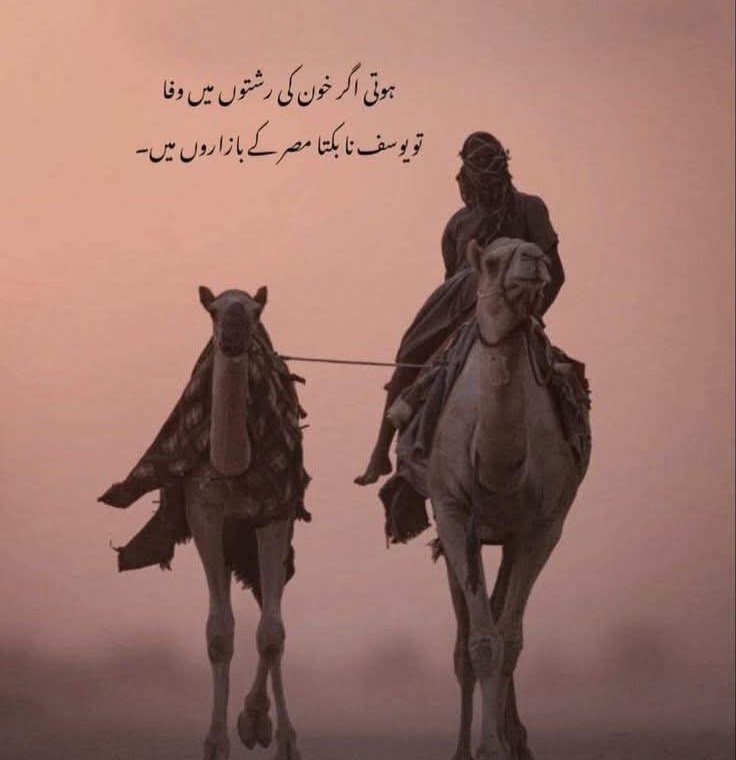 اپنوں کا تماشہ لگانے والے بھی اپنے ہی ہوتے ہیں🖤
💯