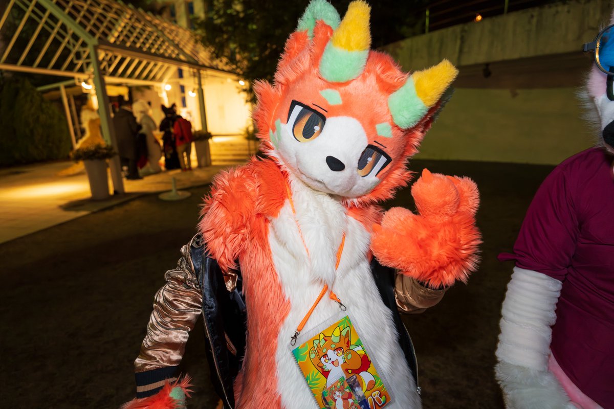 まさやん 背中に龍 #JMoF2026