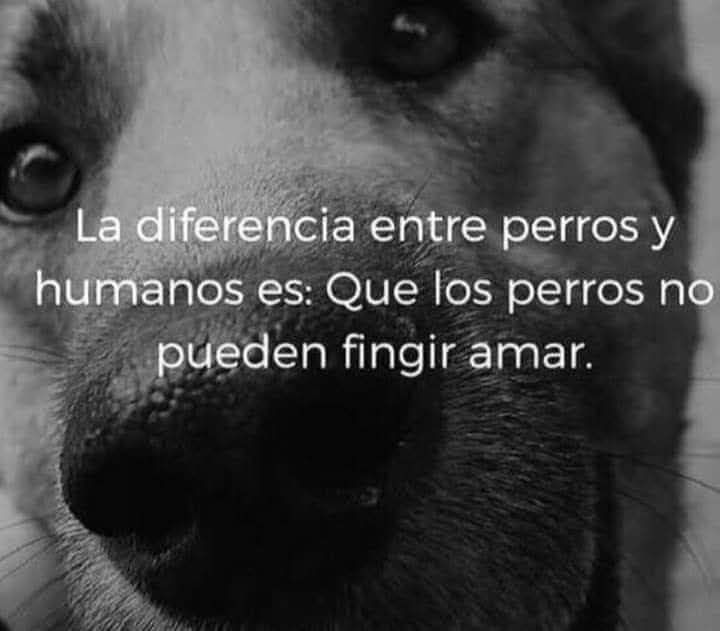 MsCiencia2's tweet photo. Es verdad 👍 https://t.co/WvtITiZm57