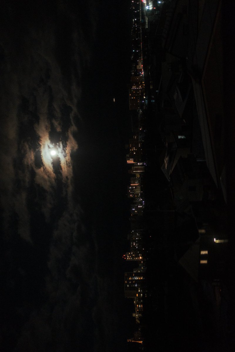 「月が綺麗な夜でした。」