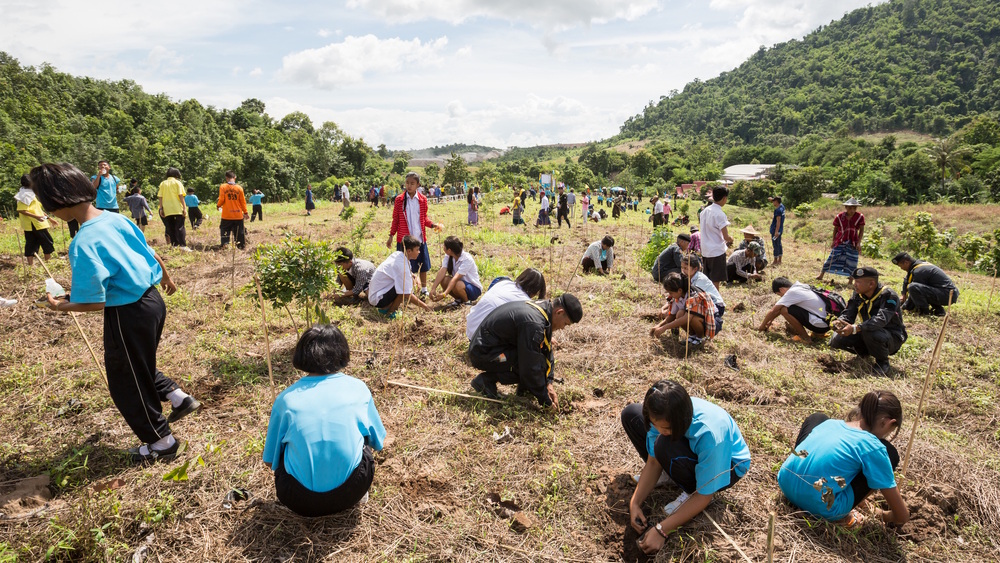 PIK_Climate's tweet image. Non-permanent carbon removals #CDR, like afforestation, cannot compensate for emissions as permanent ones can. This should be reflected in #CarbonPricing. PIK study in Environmental and Resource Economics provides guidance, calculates the price difference.
pik-potsdam.de/en/news/latest…