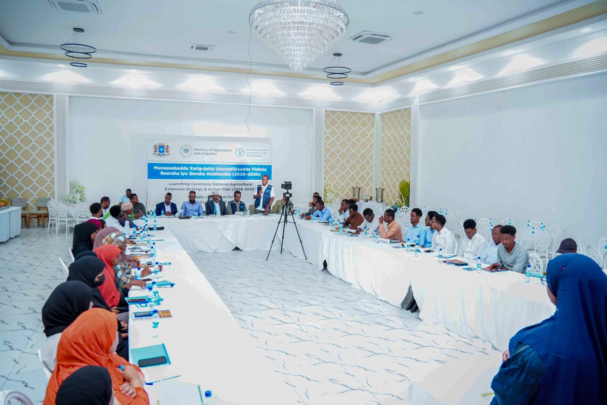 FAOSomalia's tweet photo. #FAO joined the launch of the Somali National Agricultural Extension Strategy & Action Plan (2026–2030), strengthening extension services and farmers’ resilience. We commend the Federal #MoAI’s leadership and acknowledge #EU support through the #CadReProject. https://t.co/VQjEkqXZDy