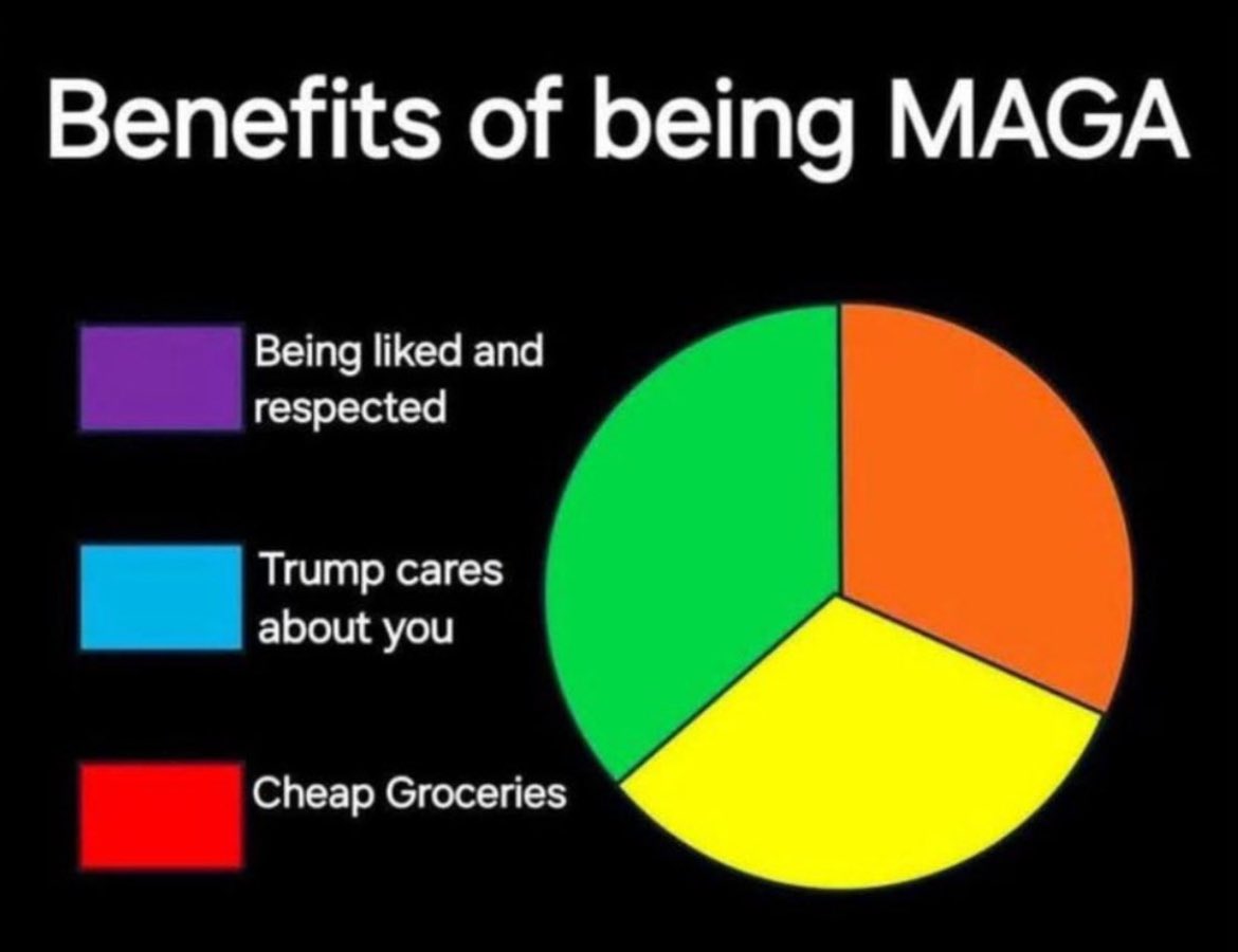 Katri | Oh, bonkers. 🇫🇮🇺🇦🌻 tweet media