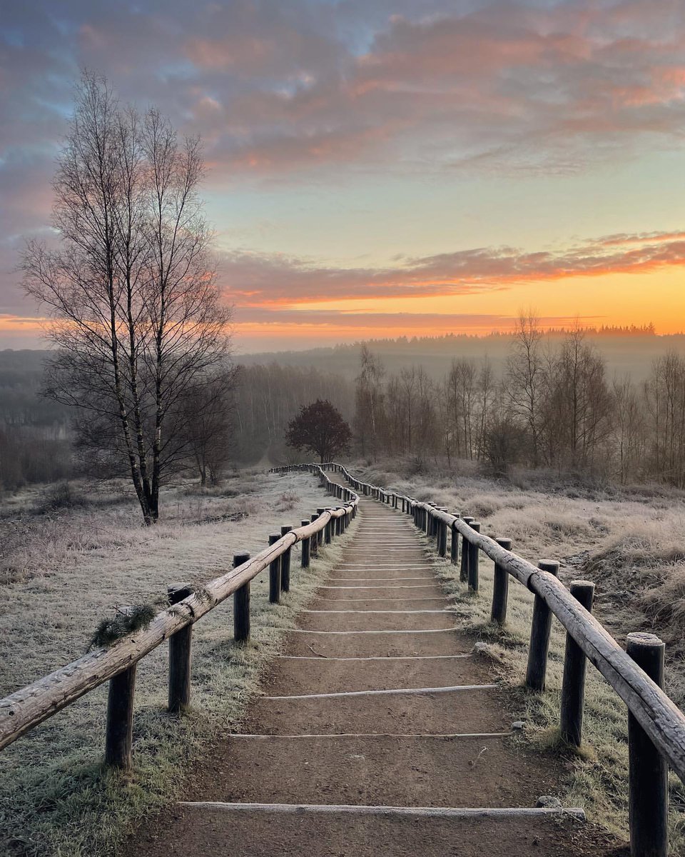 “I want to live like music sounds.”

~ Eva Ibbotson, 𝑇ℎ𝑒 𝑀𝑜𝑟𝑛𝑖𝑛𝑔 𝐺𝑖𝑓𝑡
·

© Kwintelooijen, NL by inaws61