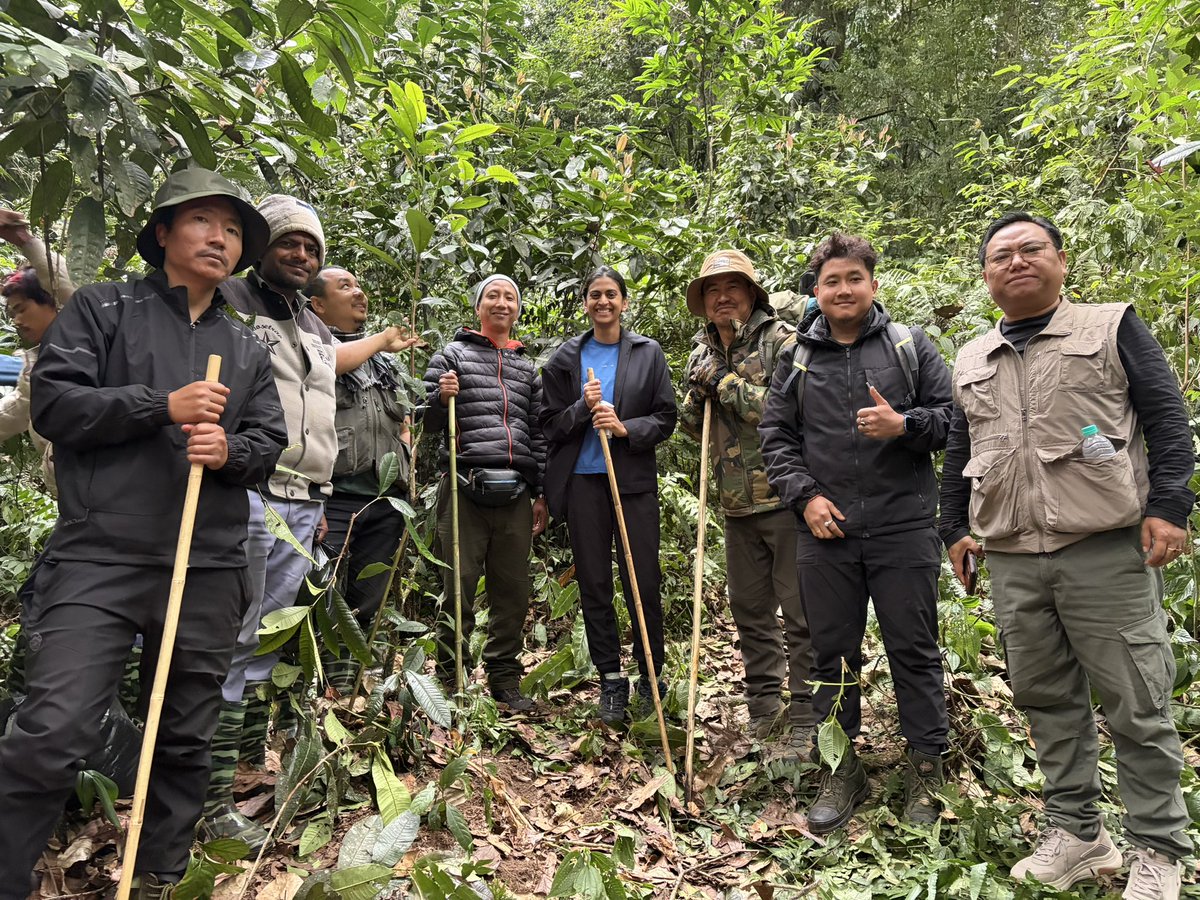 DC East Kameng tweet media