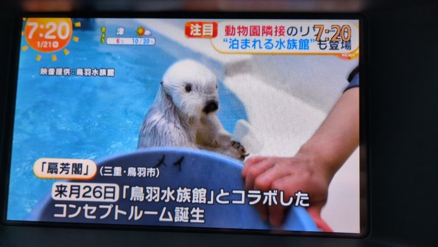 めざましテレビ（フジテレビ）さんに取り上げていただきました😊

星野リゾートさんの奈良監獄ホテルのリリースに合わせて、ユニークな宿泊施設として。

来月２月２６日より宿泊開始です。３月は在庫わずかですが、まだ少し空きあります！

扇芳閣にできる、鳥羽水族館コンセプトルームに、ぜひ！