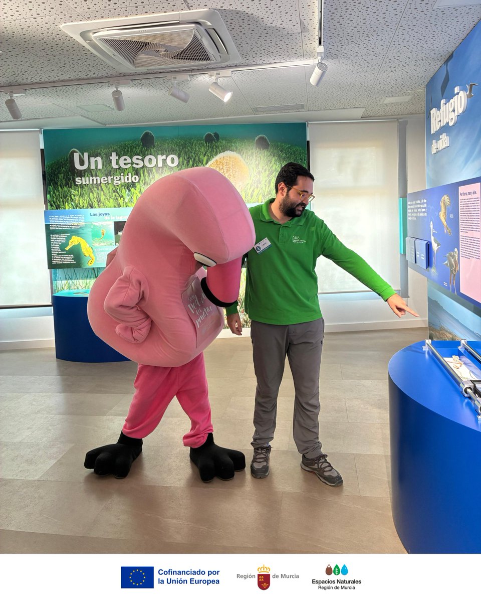 SalinasSPedroPR's tweet photo. El #CentroDeVisitantesLasSalinas, distinguido como #CentroAzul, colabora un año más con el @Ayto_Pinatar
Este domingo acogimos #MingoSentidos, una forma de descubrir la naturaleza con todos los sentidos 🦩
#SalinasSPedroPR #UsoPúblico #RuteandoConMingo https://t.co/Gw248z53o2