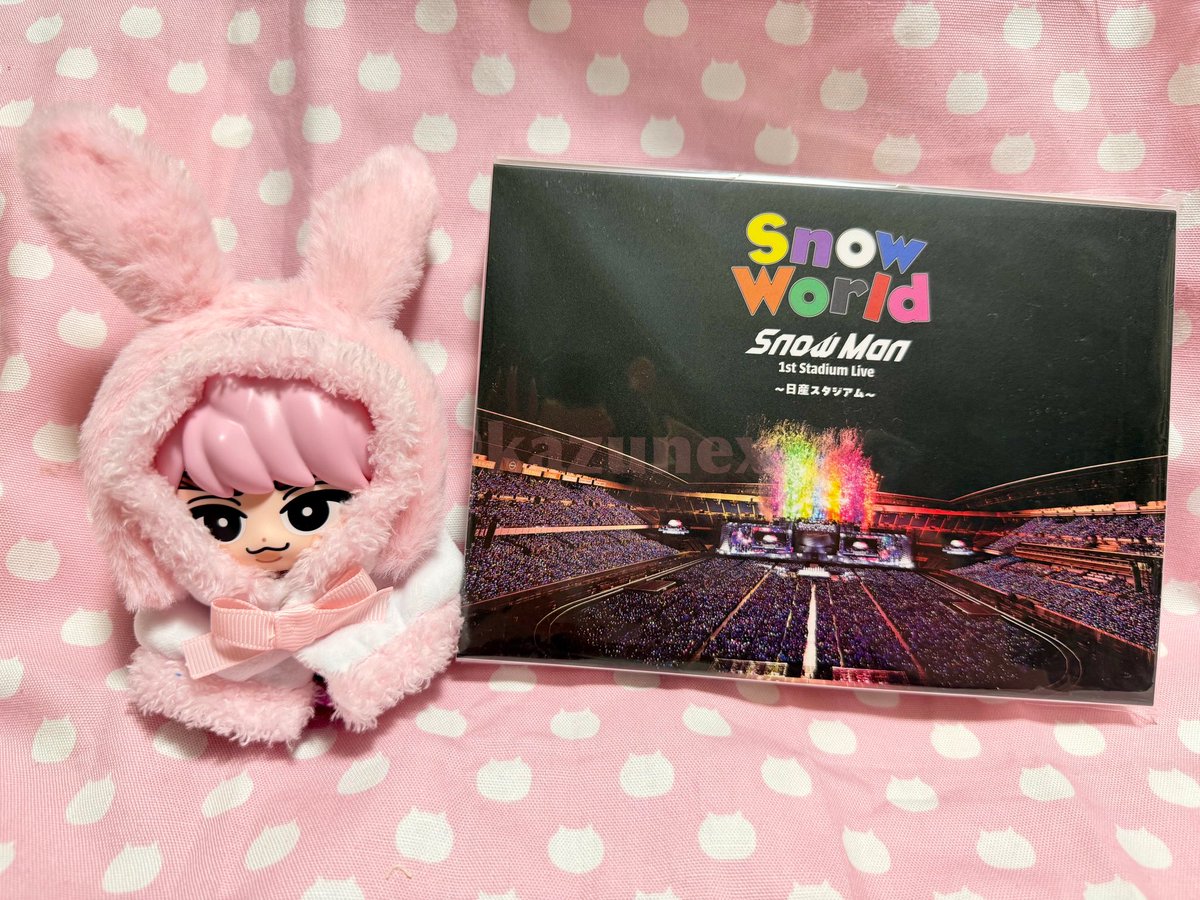 日産の円盤届いたヾ(*´∀｀*)ﾉ。 気圧で倒れて起きたらあったヾ