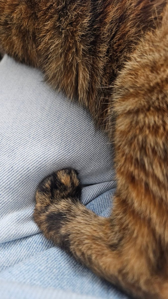 冷了才黏上來 被當暖暖包