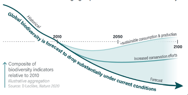aeberman12's tweet image. Overshoot

Wildlife populations are down ~70% since 1970. Freshwater species down 84%.

This isn’t “nature loss”—it’s the erosion of the systems that feed &amp;amp; stabilize civilization.

LINK👇
gov.uk/government/pub…
#biodiversity #ecology #overshoot #foodsystems #extinction