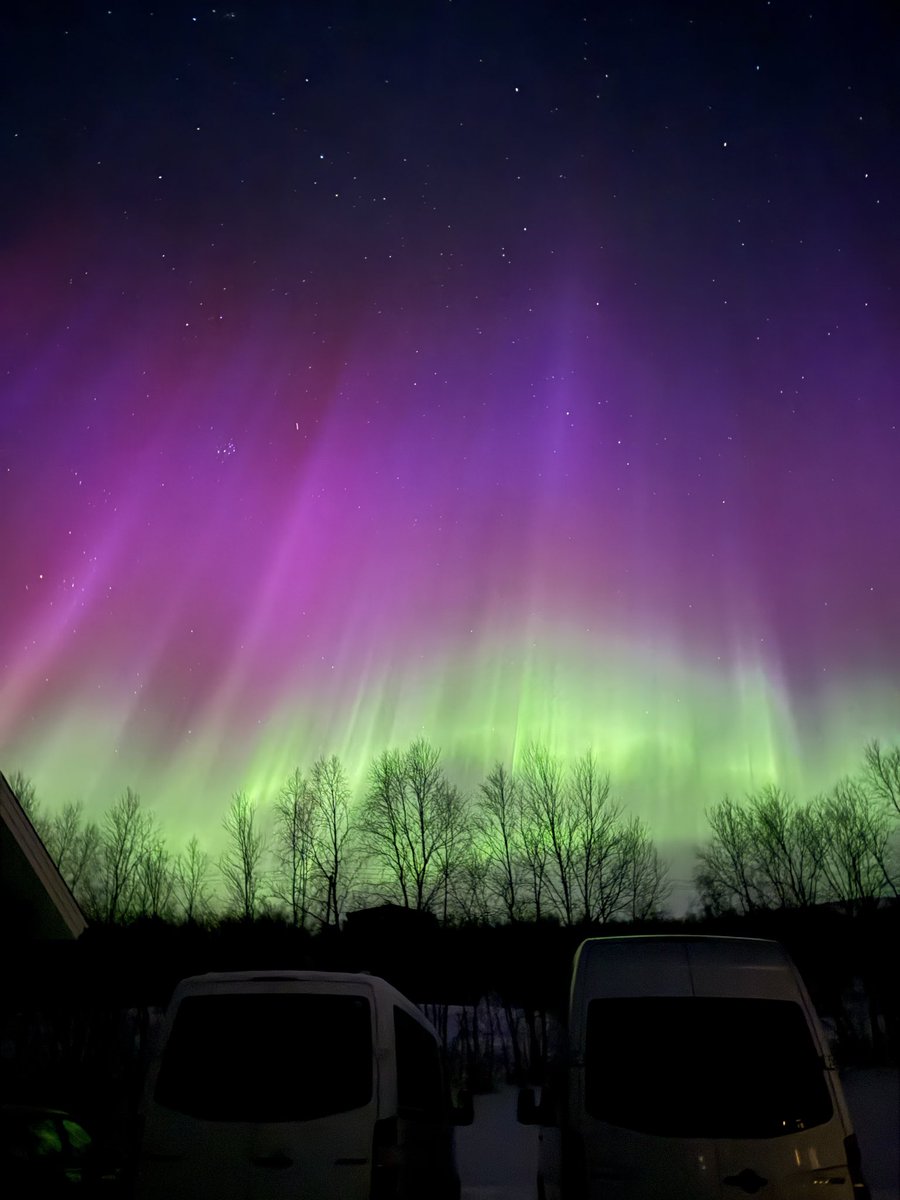 odedber's tweet image. 