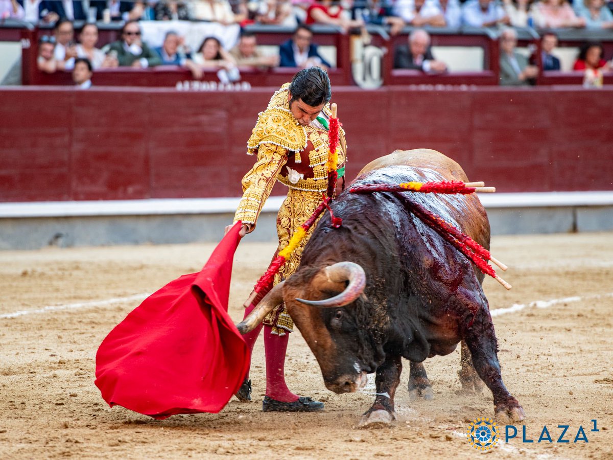 El Taurino Solana (@Pedro_javier20) / Posts / X