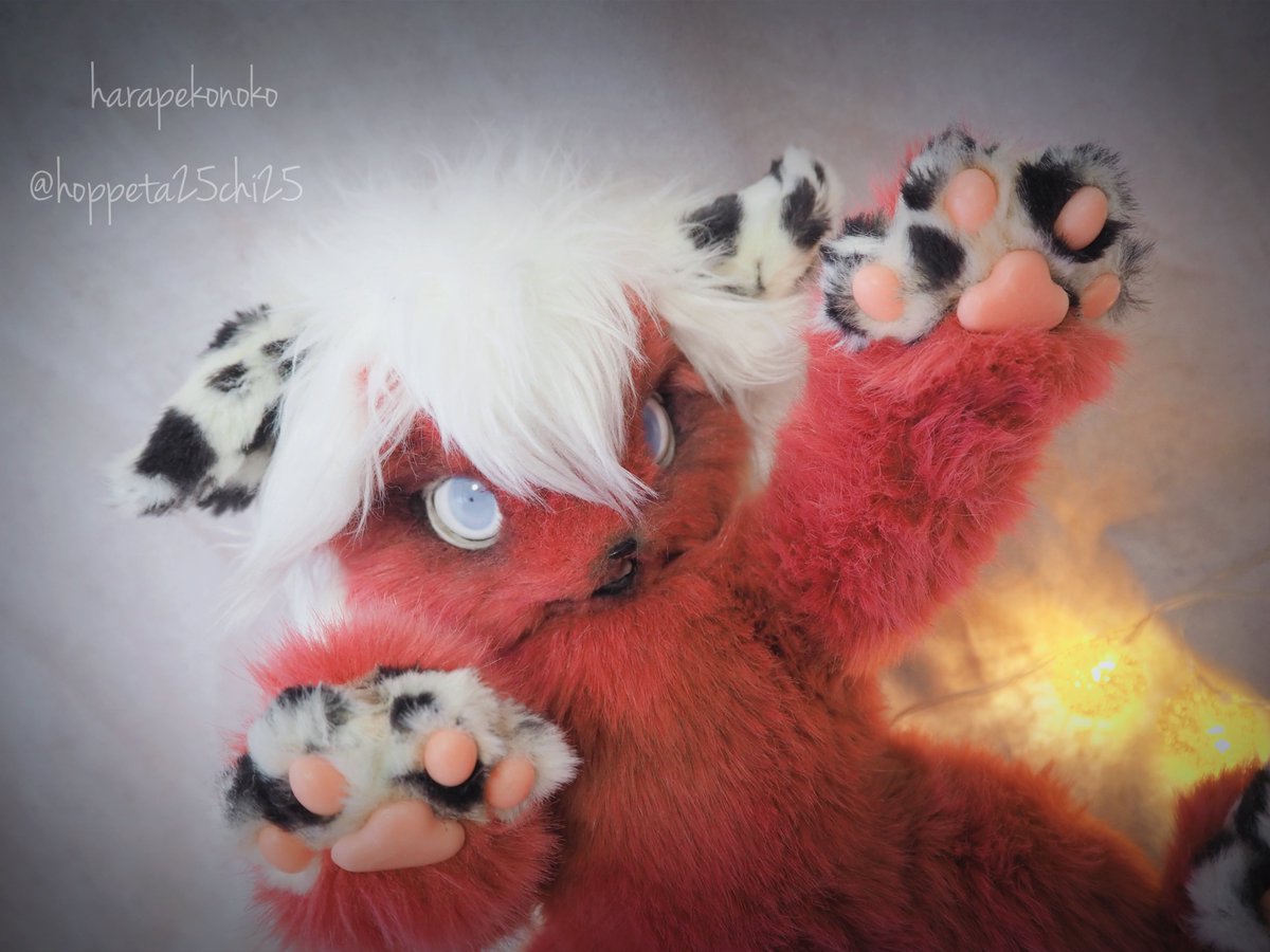 ハラペコ (@hoppeta25chi25) / Posts / X