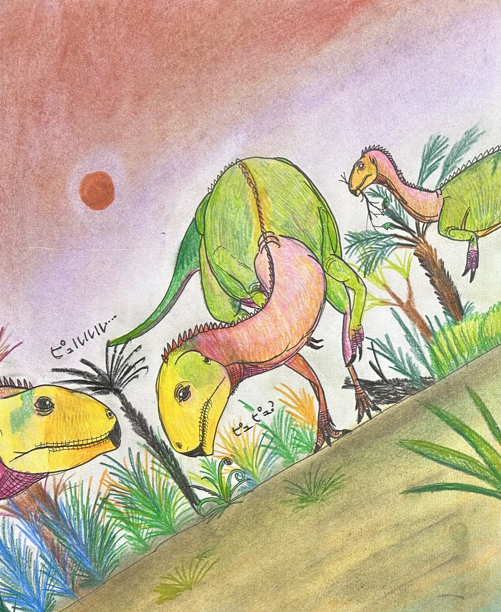 Sin_kyouryu_Esi's tweet photo. 今日のお絵描き
#チレサウルス　の兄弟たち
名前の通りチリで見つかった、全ての恐竜の先祖の特徴を持つと言われる恐竜です！
現状では獣脚類の一種テタヌラの原始的なだと言われていますが、まだはっきりしていないとか🧐
#Chilesaurus https://t.co/ARz7fMImK2