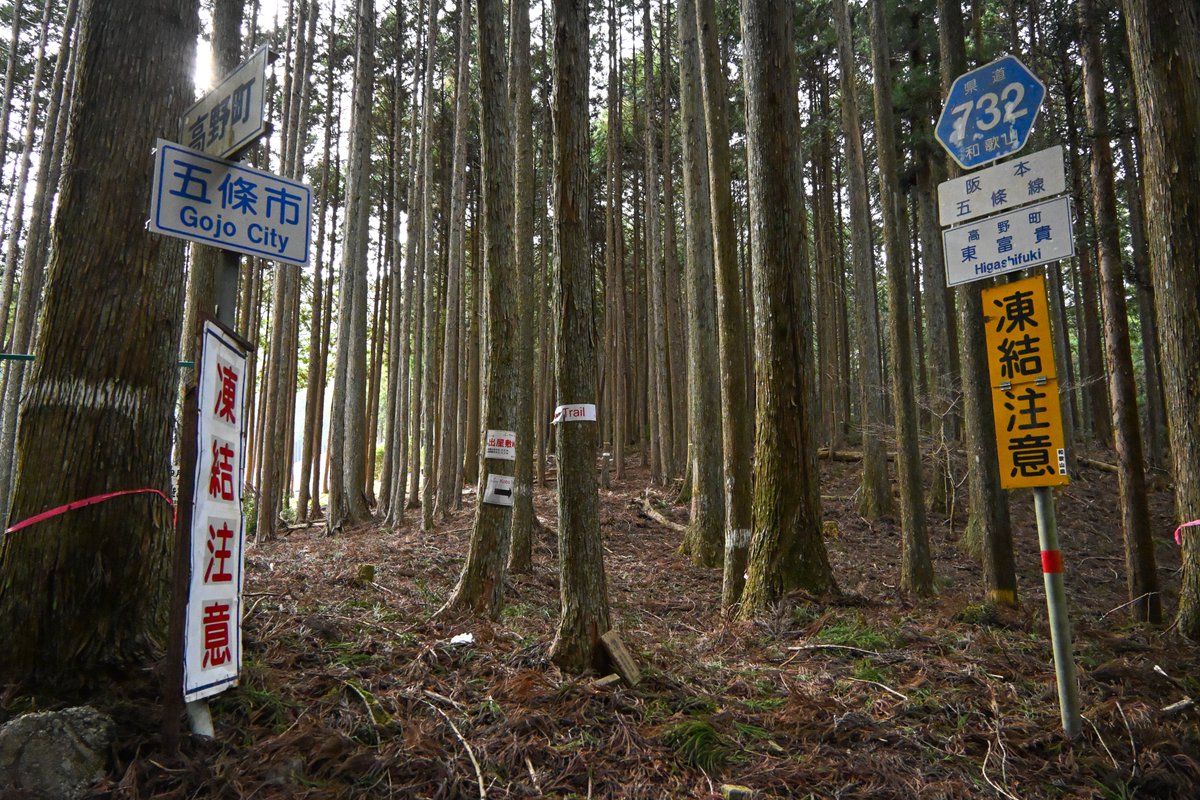 yumepikariXX's tweet image. 奈良･和歌山県境｢出屋敷峠｣