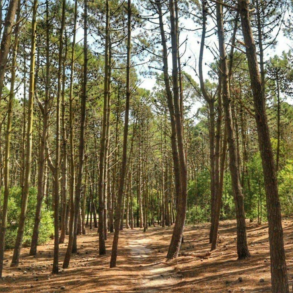 Mar de las Pampas en el Partido de Villa Gesell. Pcia de Buenos Aires.  Donde vivir sin prisa es casi una obligación. ☀️🇦🇷💦 

📷 Compartidas por Mary Grace