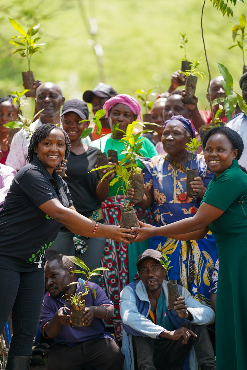 WaterFundAfrica's tweet photo. Starting the year with partnership in action!  Through the Jumuiya Water Fund, @Nature_Africa + @GGI_Kenya  are restoring springs in the Chyulu Water Catchment-protecting water &amp; supporting local livelihoods, especially for women &amp; young farmers.

 #WaterIsLife #Partnerships https://t.co/yvmCEaT8up