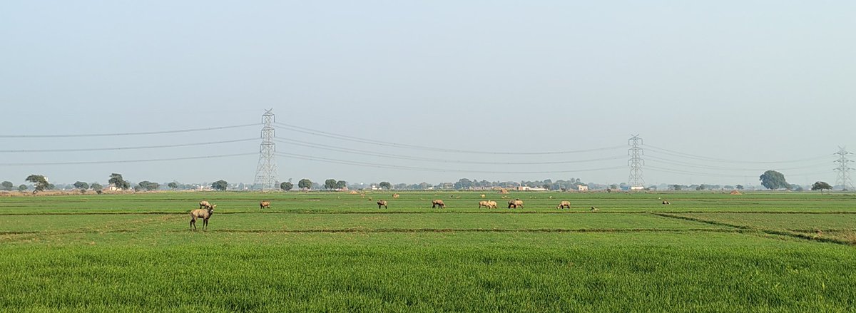 its_msp_'s tweet photo. @CMOfficeUP @OfficeofSSC 
@ErAshishSPatel @ChouhanShivraj https://t.co/uKgp7U4QjW