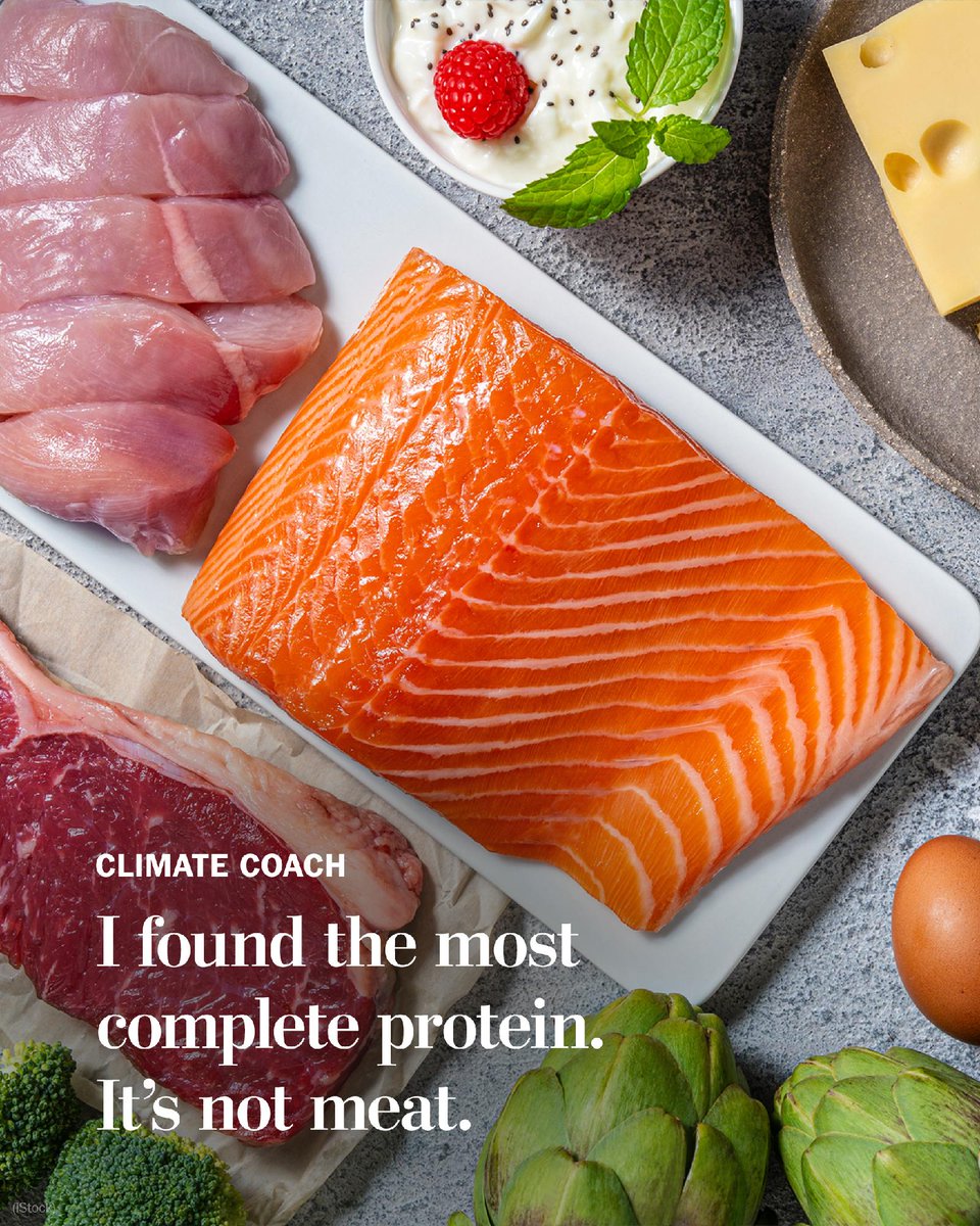 Humans need (some) protein, of course. But an entire multibillion-dollar industry has sprung up to sell us a lot more of something we don’t need in such quantities.

Here’s all you need to meet the recommended daily protein intake: wapo.st/3YP0ixx