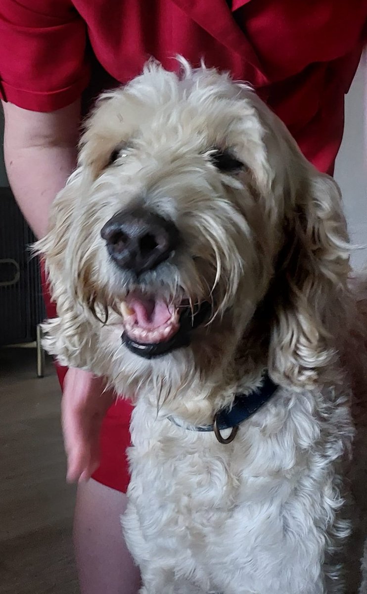 𓄿 ☽ • TV_thari • ☾ 𓄿 tweet media