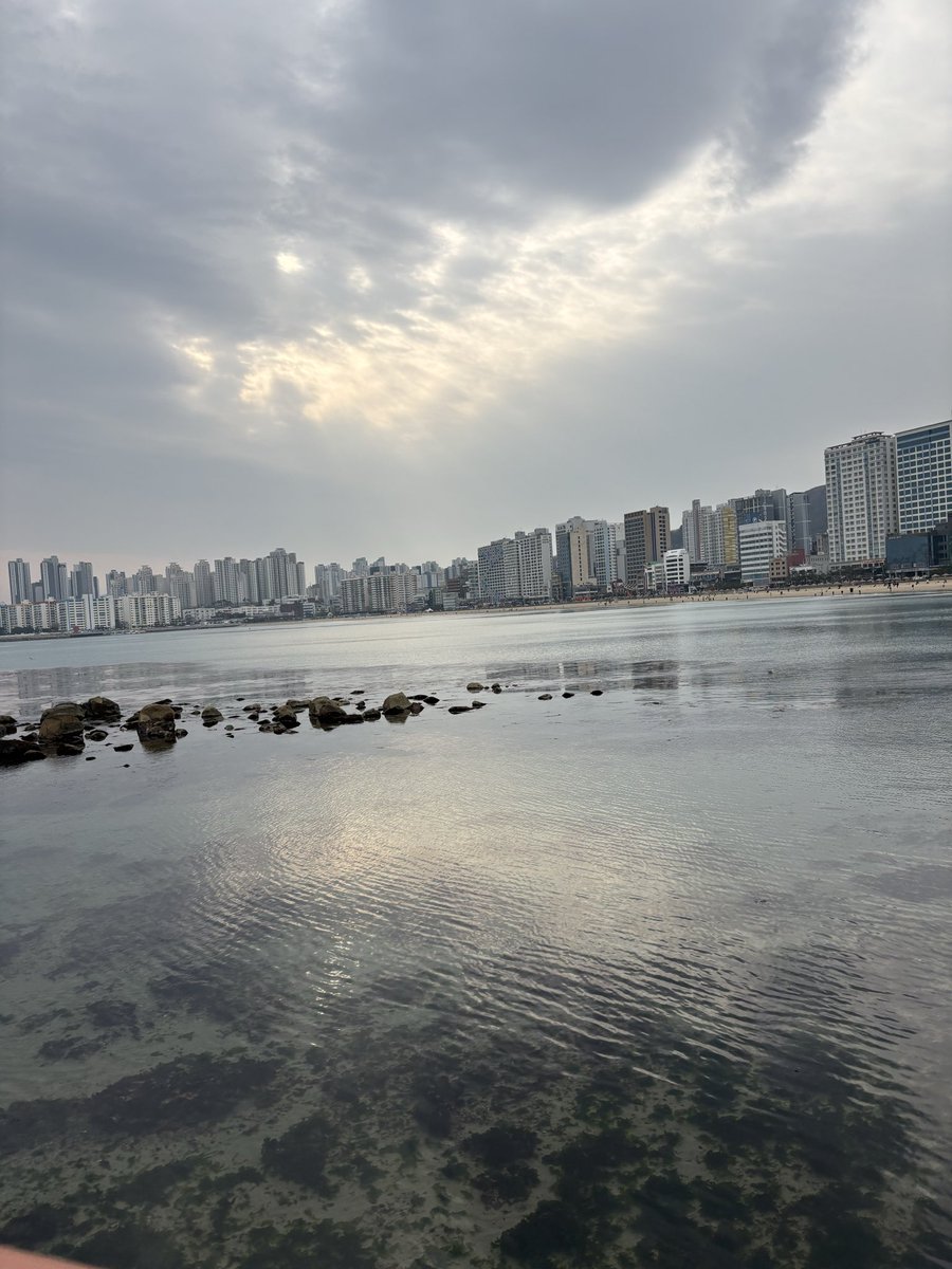 오므라이스 (@youme_lo) on Twitter photo 