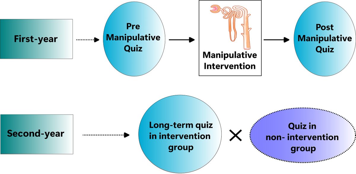 APSPublications's tweet image. Education Research by Maedot Haymet et al., Adaptation from a paper-based nephron manipulative to a hands-on electronic format to teach renal physiology, pathophysiology, and pharmacology
🔗 ow.ly/J5b150XY77v
@AdvPhysiolEduc #ActiveLearning #VirtualInstruction
