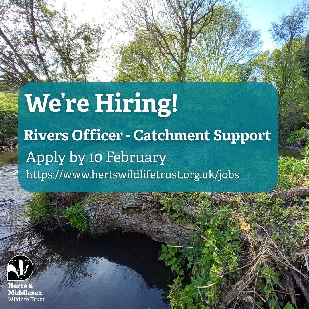 HMWTBadger's tweet photo. 🌊 Interested in rivers, collaboration and catchment-scale action?

Join us as Rivers Officer – Catchment Support and help deliver real change for rivers and wildlife.

Apply here: https://t.co/pZ6LQOu42Q

#ConservationJobs #NatureJobs #RiverRestoration https://t.co/rlhU6uUXUE