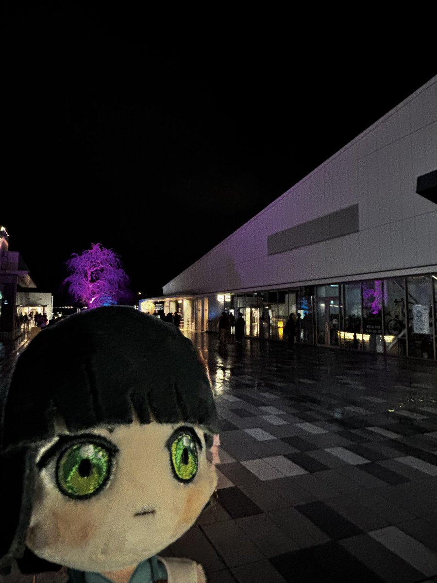 フジレン tweet media