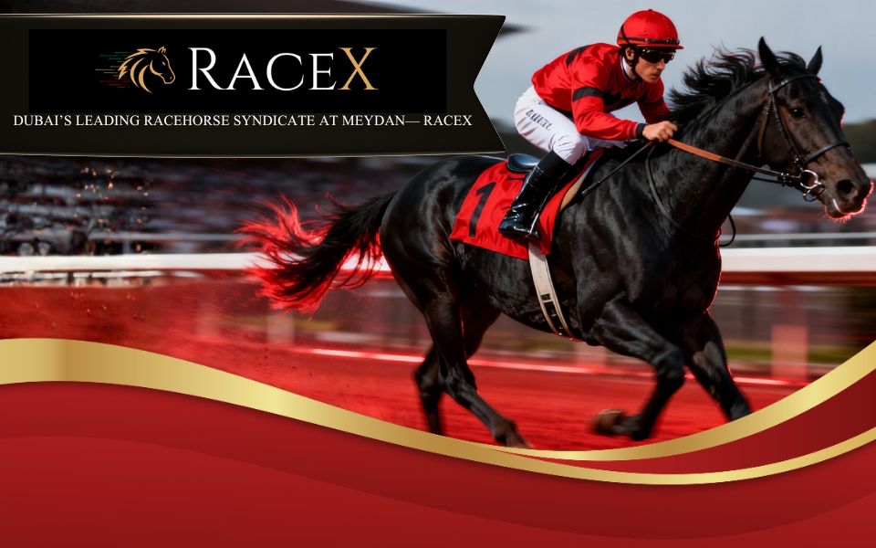 TalkFusion's tweet image. No DIY. Just VIP Design. 👑

When 80% of consumers say they’re more likely to do business with brands that personalize 🎯, you have two choices:

💸 Pay thousands to hire an email marketing agency…
 💰 Or save thousands with Video Email from Talk Fusion 🎥📧

RaceX 🏇— Dubai’s…