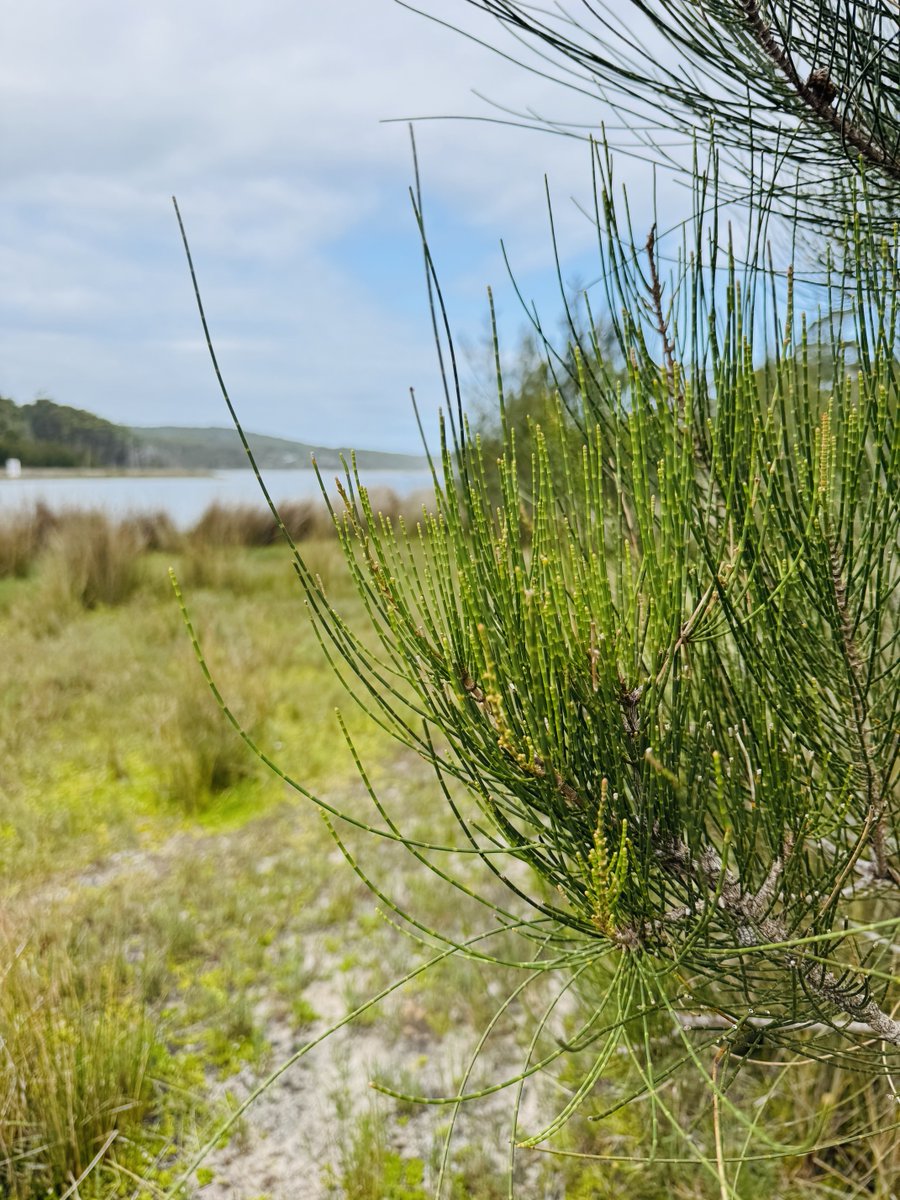 Midweek &amp; loving milder temperatures.