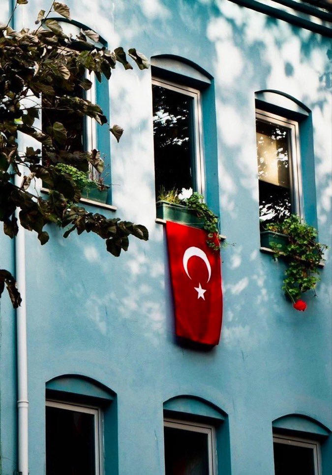 “Şâh-ı gülistândan güzelsin güzel.”

#TürkBayrağı