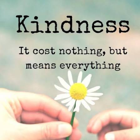 Carolina Cowboy tweet media