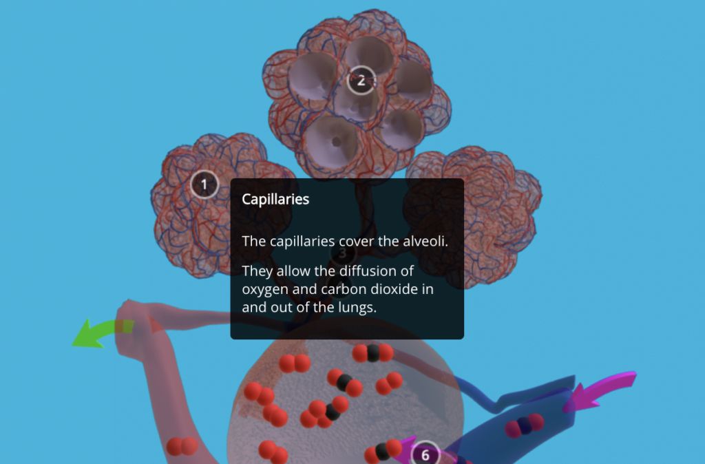 Oaka Books tweet media