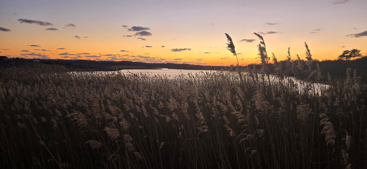 Sean Conway tweet media