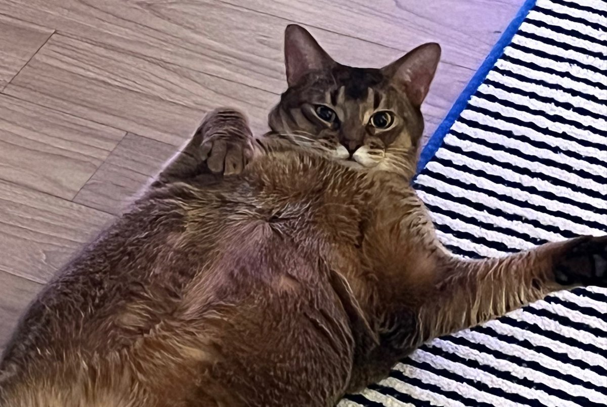 2thekimlee's tweet image. มตไม่บุลลี่ใครก่อน
ลีออน: อรืมจ่ะ